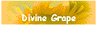 Divine Grape