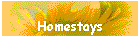 Homestays