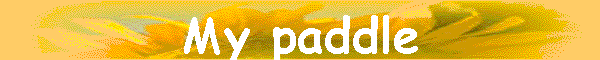 My paddle
