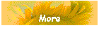 More