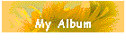 My Album