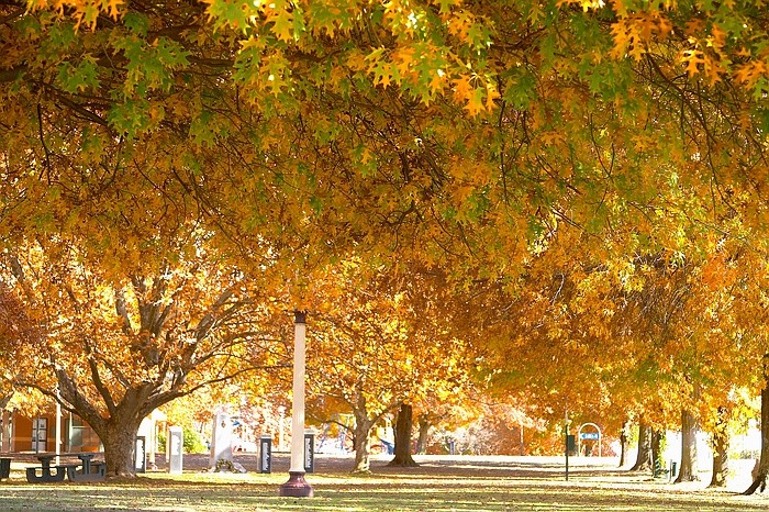 Autumn has the whole day mirroring the sunset